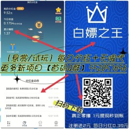 白p之王，全网首码，零撸新项目