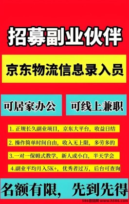 手机录入信息，轻松实现日赚300+，零风险，新手也能快速掌握！