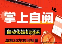 慧有米新玩法：自动阅读角本，日赚50圆是否靠谱？