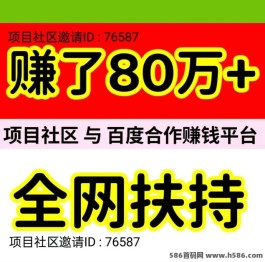 项目社区：与某度合作，带来稳定收入！