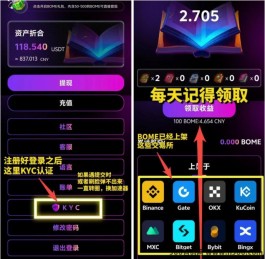 BOME项目：新手必知的赚钱机会与玩法攻略