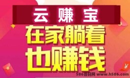 云赚宝首码火热对接中，市场热度飙升，赶紧上车！