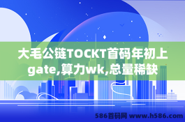 大毛公链TOCKT首码年初上gate,算力wk,总量稀缺