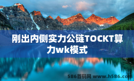 刚出内侧实力公链TOCKT算力wk模式