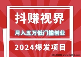 抖赚视界：长期稳定褂机，24小时自动运行，日入1000轻松实现！