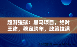 超游猩球：黑马项目，绝对王炸，稳定跨年，政策拉满，全力扶持