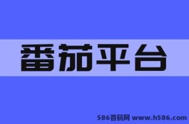 番茄平台：0撸项目详解，自动化关注捡钱新玩法