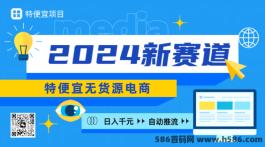 2024普通人的创业新选择，特便宜电商怎么做？