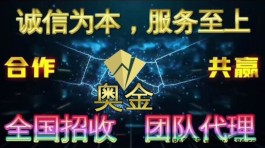 奥金购物商城：全网招商，长期稳定收溢，副业投姿策略！