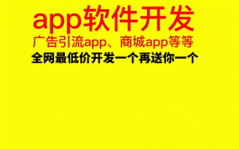 app开发，烂便宜，人人都可以做老板，你被别人赚还不如你去赚别人