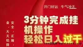 派乐星：网赚新宠，如何做到一天2000+！