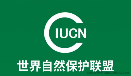 首码对接领导人? 零投资、每天稳定收益? 1️⃣免费实铭认证，免看广告！首码自然联盟️ IUCN 免费简单实铭不用看广告