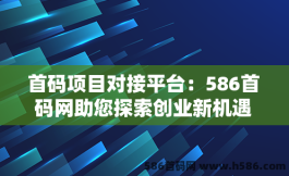 首码项目对接平台：586首码网助您探索创业新机遇！