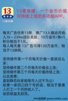 13惠享赚深度解析：广告与推广双赢策略，手把手教你赚取丰厚收溢的全攻略