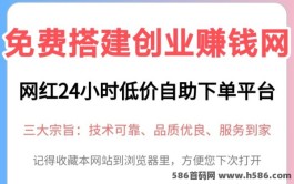 2024网创副业新选择！