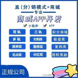 陆亿人网络科技：15年互联网系统开发经验，专业打造定制APP和小程序