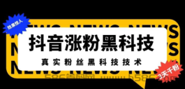 2023年风口快速变现项目，适合创业/副业/团队/工作室等，开通抖音黑科技最高合伙人，我教你搭建账号，教你成交！