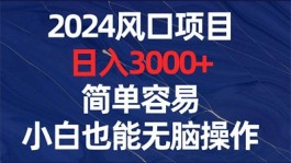 微程宝项目解析：从个人到工作室，2000+收溢轻松可得！