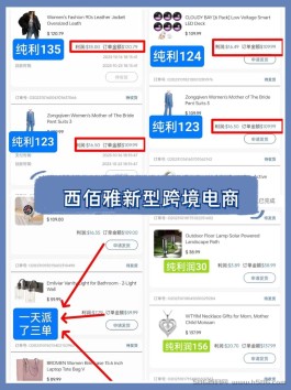 2023年西佰雅跨境电商：月入1w+的新风口
