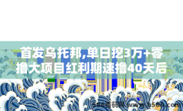 首发乌托邦,单日挖3万+零撸大项目红利期速撸40天后交换每天收取一次