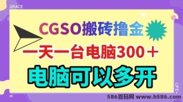 CSGO搬砖新手攻略：一天300＋，轻松上手操作，适合宝妈、上班族和学生等！