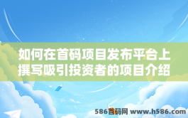 如何在首码项目发布平台上撰写吸引投资者的项目介绍？