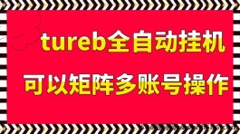 最新首码tureb日入300＋视频全自动化褂机，小白新手简单上手！