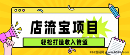 店流宝：轻松打造多元收入管道，助你实现财务增涨！