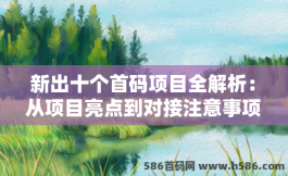 新出十个首码项目全解析：从项目亮点到对接注意事项，一文掌握！