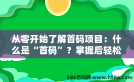 从零开始了解首码项目：什么是“首码”？掌握后轻松找到优质项目资源！