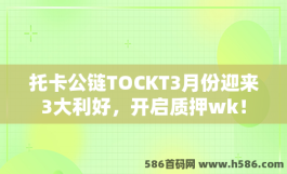 托卡公链TOCKT3月份迎来3大利好，开启质押wk！