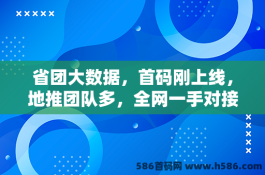 省团大数据，首码刚上线，地推团队多，全网一手对接助你畅爽开启新商机！