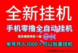 一斗米褂机：天天自动点赞，一个号月入3000+