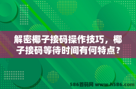 解密椰子接码操作技巧，椰子接码等待时间有何特点？