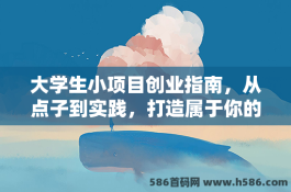 大学生小项目创业指南，从点子到实践，打造属于你的创业梦