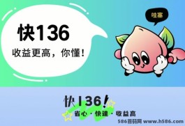 快136：利用快手做任务，轻松日入500+！